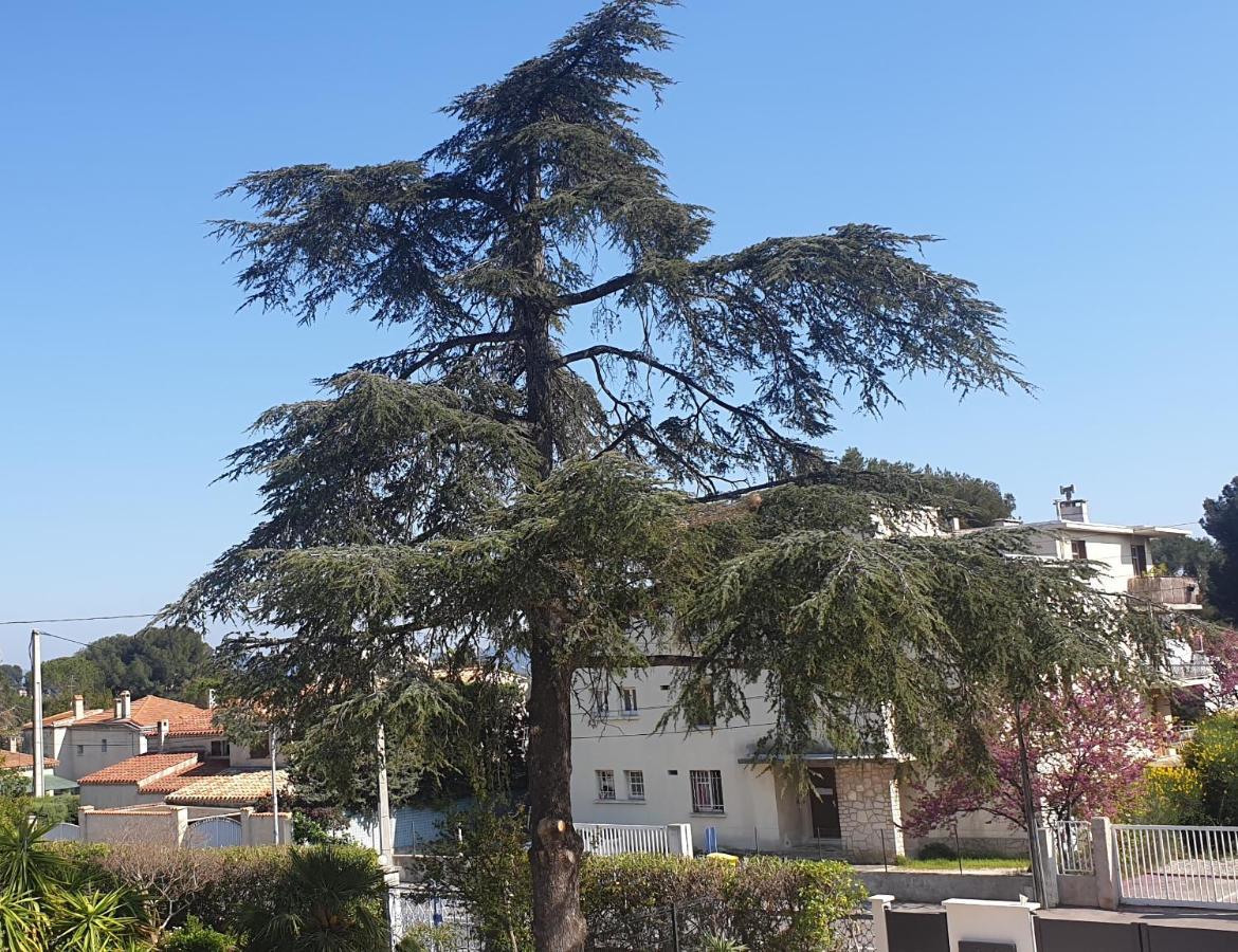 Les Vagues Bleues Apartment La Ciotat Luaran gambar